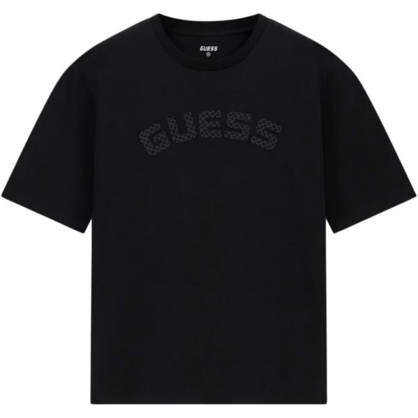 uomo_abbigliamento_tshirt_guess_z6bi04k6534a26_123921_16970_1_hd.jpg