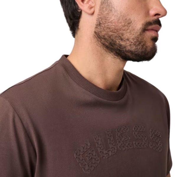 uomo_abbigliamento_tshirt_guess_z6bi04k6534a26_123921_17585_4_hd.jpg