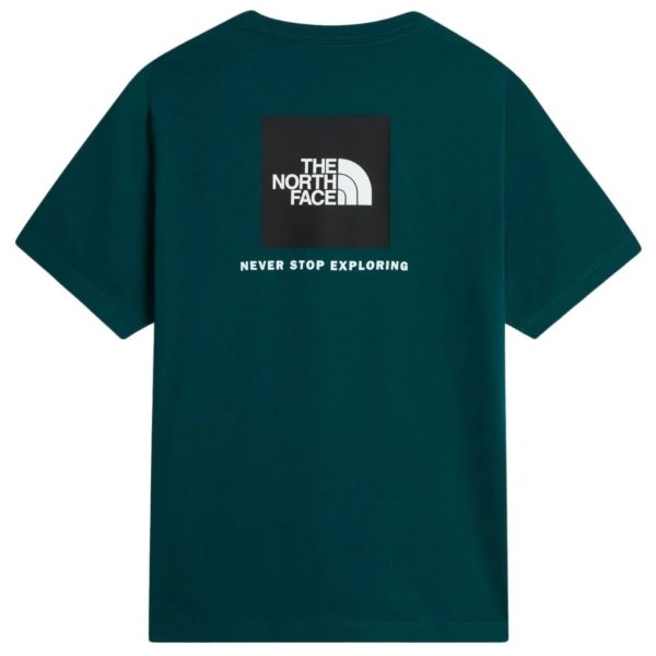 uomo_abbigliamento_tshirt_thenorthface_nf0a8g9cn4j1a26_126786_18221_2_hd.jpg